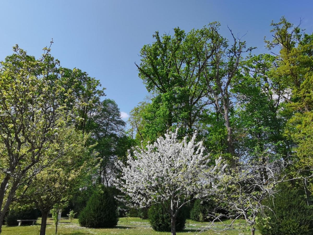 Chateau De Brinville Saint-Sauveur-sur-Ecole Εξωτερικό φωτογραφία