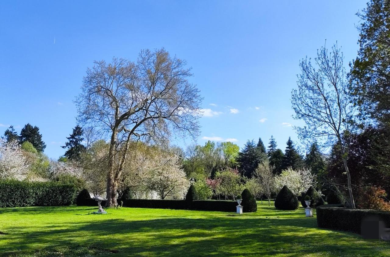 Chateau De Brinville Saint-Sauveur-sur-Ecole Εξωτερικό φωτογραφία